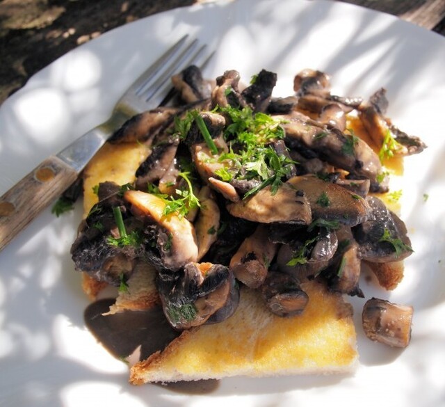 Weekly Meal Plan and a New 5:2 Diet Recipe for Fast Days – Creamy Garlic Mushrooms on Toast (190 Calories)