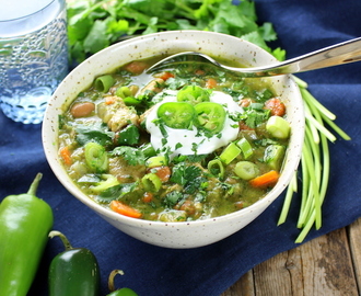 Chicken and Green Chile Verde Soup
