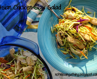 Asian Chicken Slaw Salad {gluten, dairy, egg-free}