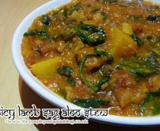 Spicy Lamb Sag Aloo Stew