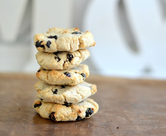 Safari-style blueberry cookies