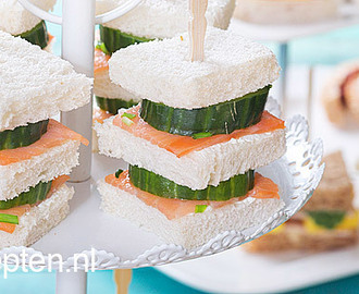 Mini sandwich met komkommer en zalm
