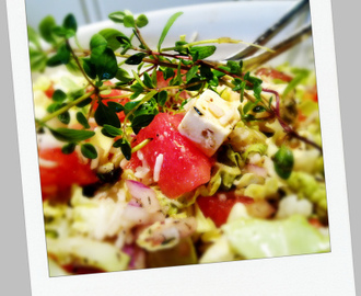 Sommerfrisk salat med fetaost og vannmelon