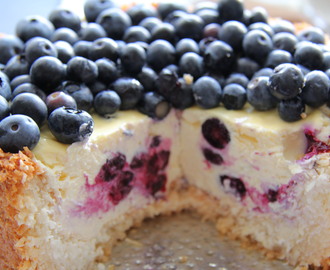 Coconut and Blueberry Cheesecake