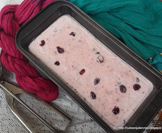 STRAWBERRY  ICECREAM  WITH  CHOPPED  CRANBERRIES  &  CHOCO CHIPS