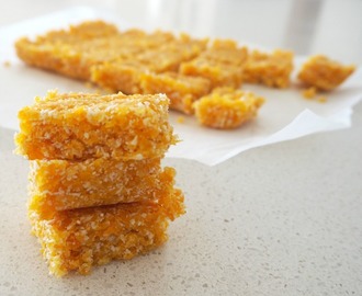 Two Ingredient Thermomix Apricot and Coconut Slice
