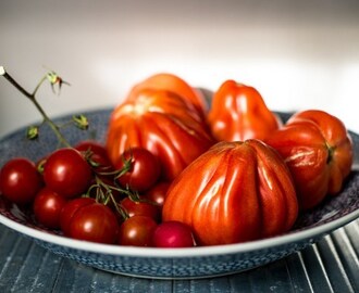 Tomaten in topvorm