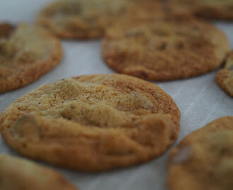 the most delicious choc chip cookies in the thermomix