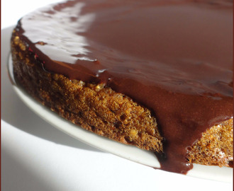 Torta di Soia Mandorle e Carote ricoperta di Cioccolata Proteica