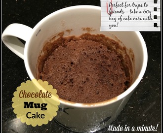 Chocolate Mug Cake - gluten, dairy, soya, nut and egg free!