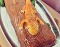 Torta de Gecko
