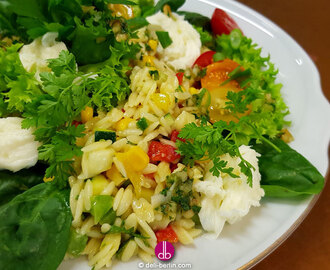 Griechischer Reisnudel-Salat mit Mozzarella - DELi-BERLIN.com | gesund kochen - gesund leben - try it. love it!