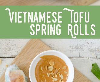 Vietnamese Tofu Spring Rolls