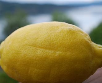 Lemon curd til franske makroner