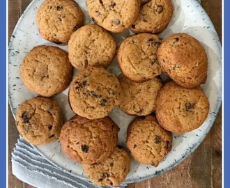 Delicious Diabetic Friendly Chocolate Chip Cookies