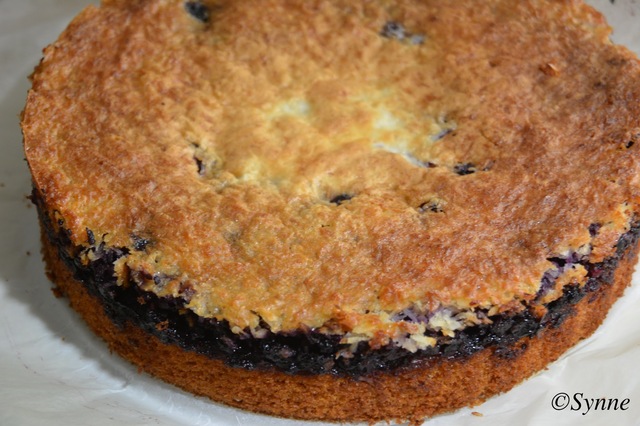 Saftig kake med blåbær og kokostopping