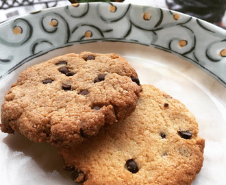Low Carb Peanut Butter Chocolate Chip Cookies