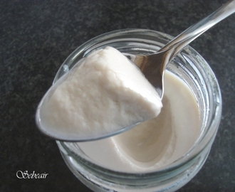 YOGUR DE DULCE DE LECHE  (yogurtera)