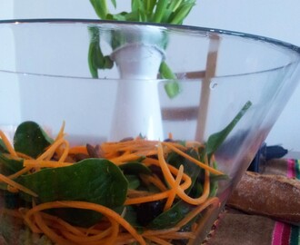 Comentario en Ensalada de mote al pesto con espinacas, zanahoria y almendras por Fran
