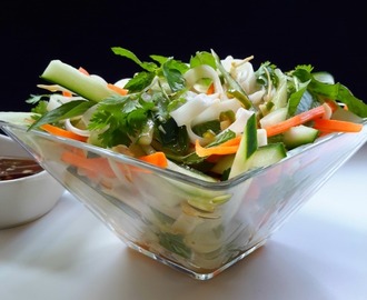 Ensalada Vietnamita de Fideos de Arroz con Verduras y Hierbas Mixtas