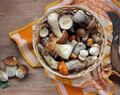 Как готовить грибы: 7 полезных советов
