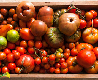 De la huerta a la mesa: cobbler de tomates cherry