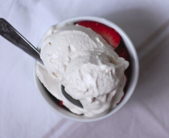 Domácí jogurtová zmrzlina
