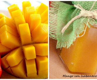 Ideas para acompañar con salsa de mango