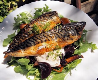 Search for a Connoisseur & Sharp’s Brewery: Smoked Mackerel with Hot Beetroot and Horseradish Cream