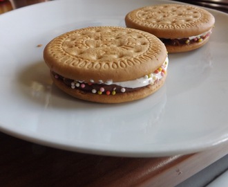 Weightwatchers biscuits, marshmallow and chocolate S'mores