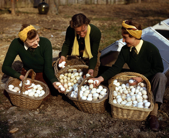 Living of Wartime Rations – Day Three: Eggs and Egg in a Nest: WW2 Mock Fried Egg Recipe