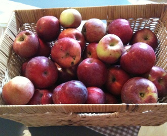 Apfelmus / Compota de poma bei Susann