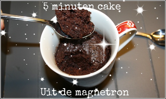Magnetron Mug Cake