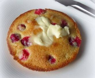 Cranberry and Corn Toaster Cakes