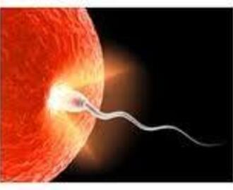 Vores fertilitetsbehandling step by step... (Opdateret 27. oktober 2013)