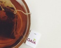 Review: GAIA’s Green tea + Tulsi