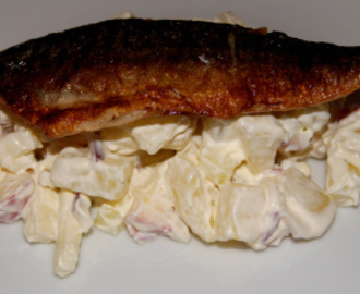 Makrell med potetsalat