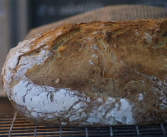 Kjøpt brød vs hjemmebakt brød - økonomi