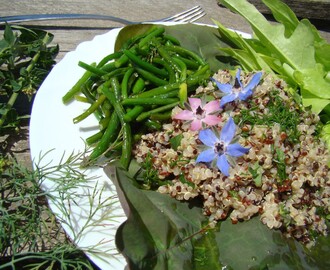 Salát z quinoy pro dobrou mysl, s česnekovými výhony a koprovým dresinkem