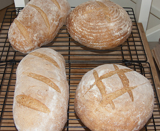 Nog enkele plaatsen vrij voor workshop brood bakken