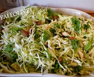 Skøn kål -fennikel salat med super dressing