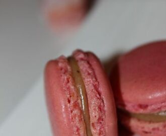 Macaron praliné biscuit rose de reims