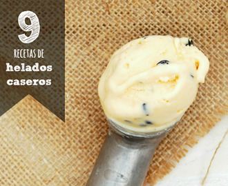 9 recetas de helados caseros {para combatir el calor}