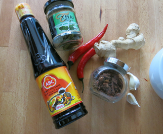 Middagstips: Thai/indonesisk kyllingsalat med hjemmelaget (spicy) soyamarinade!