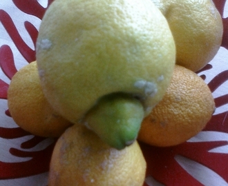 "Sorbetto di limone" Zitronensorbet