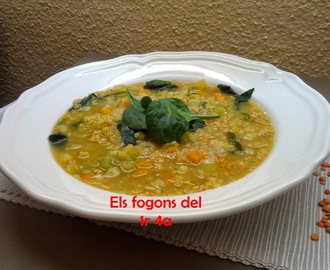Sopa especiada de llenties vermelles i verdures
