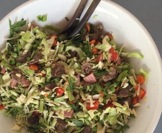 Spicy salat på sommerkål og braiseret oksekød - paleo mad!