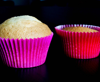 Home Made Cupcakes vs Shop Bought Packet Mix