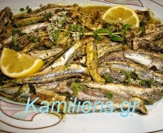 Γαύρος σαγανάκι - Fried anchovies - سمك الأنشوجة المقلي