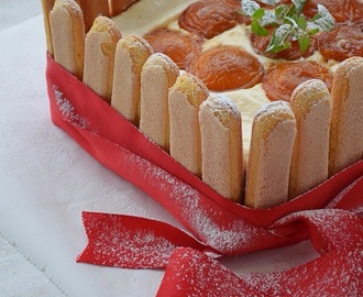 Τούρτα με καραμελωμένα βερίκοκα και τυρί κρέμα- Cream Cheese and caramelised apricots (no bake) cake by  Gabriel Nikolaidis and the Cool Artisan !